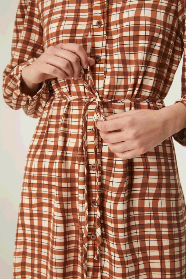 Close up photo, model wears gingham shirt dress