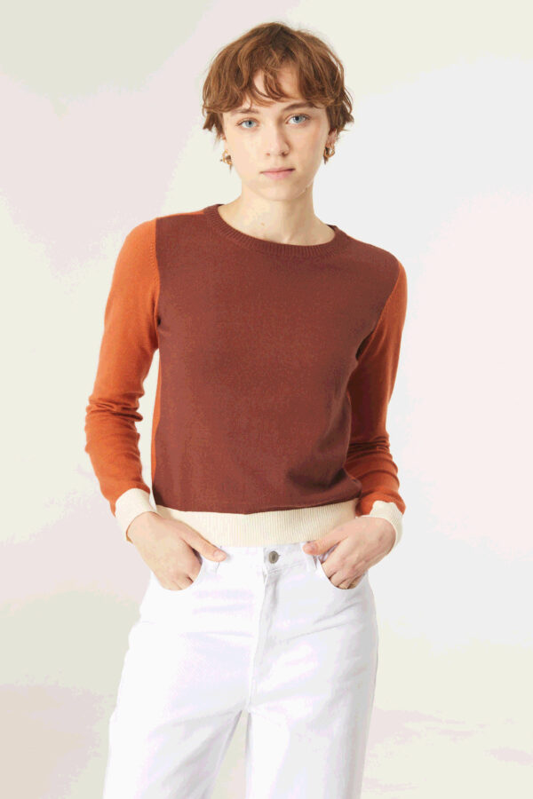 Model wears multicolour brown knit jumper