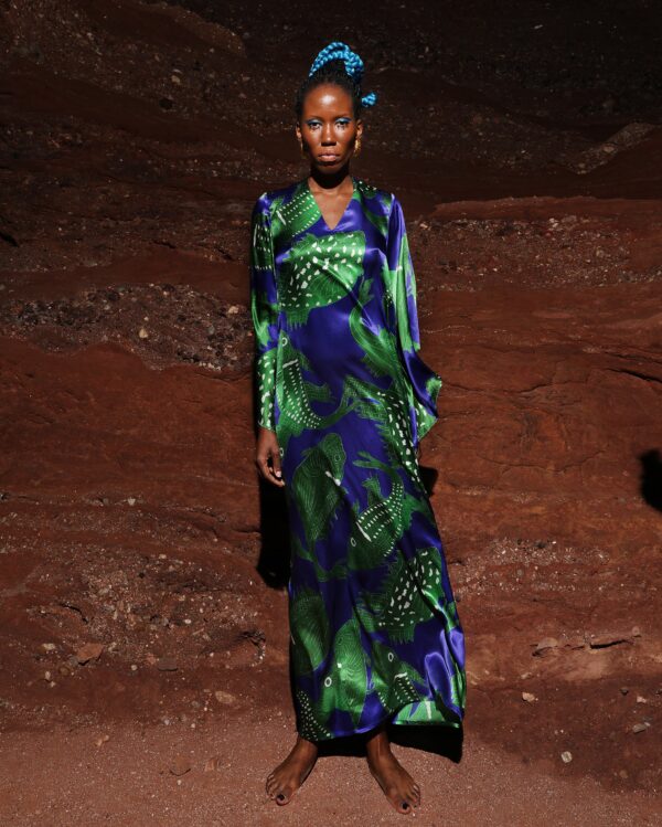 Model wears silk print dress